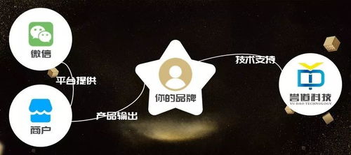 手机上看不到的线下店,等于不存在 靠什么拯救8000万线下店