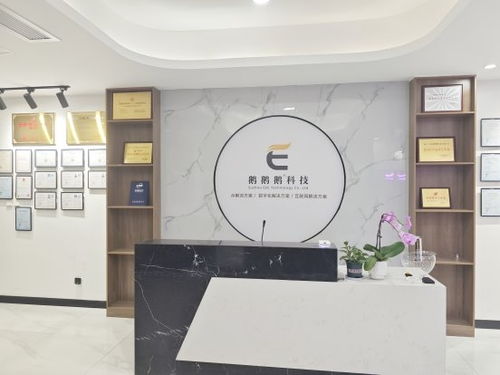 苏州鹅鹅鹅科技 赋能企业数字化转型的领跑者